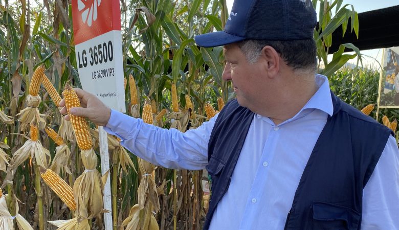 Rondônia e o desafio do desenvolvimento sustentável: O equilíbrio entre economia, social e meio ambiente – Por Pedro Fernandes