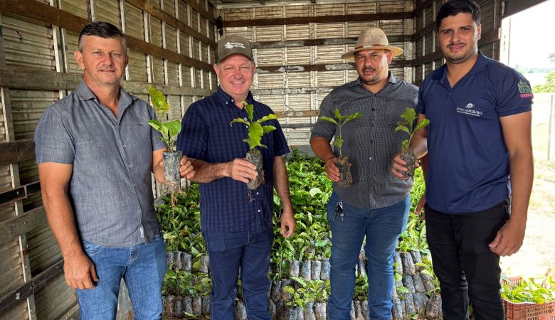 Emendas do deputado Pedro Fernandes fortalecem produção com entrega de mudas de café em Rondônia