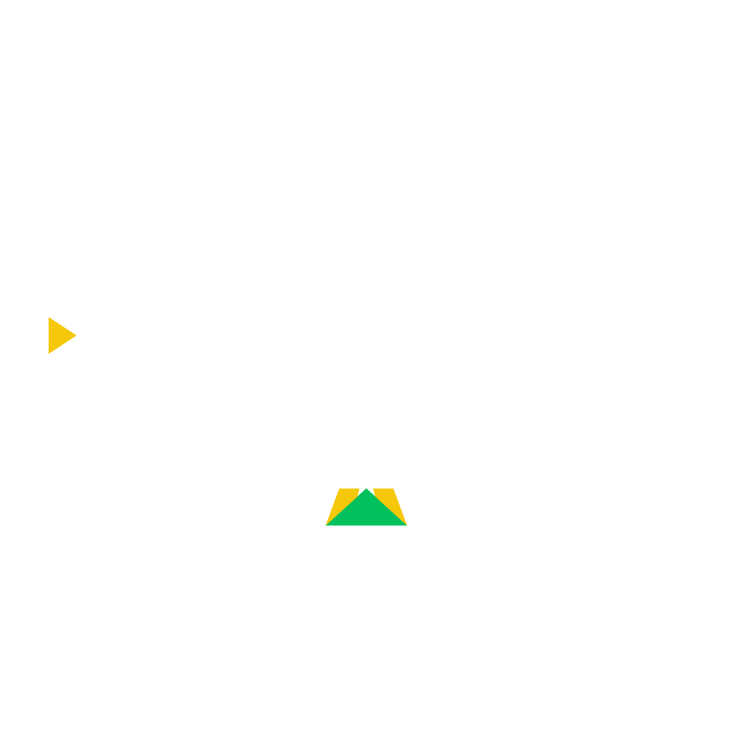 Pedro Fernandes